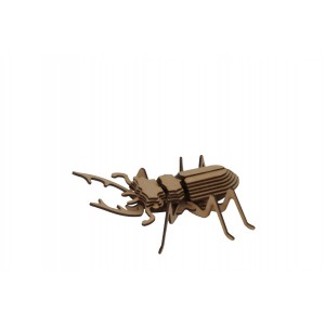 Wood Models Escarabajo